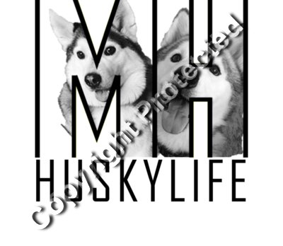 MH Face blk