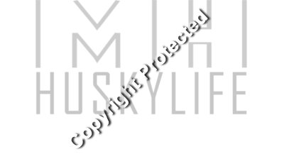 MK HL gray