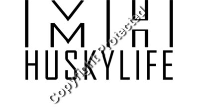 MK HL black hires