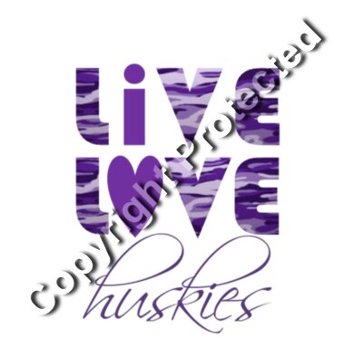 LiveLoveHusky purple hires